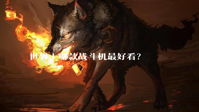 世界上哪款战斗机最好看？